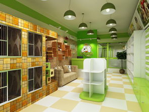 寵物店裝修圖