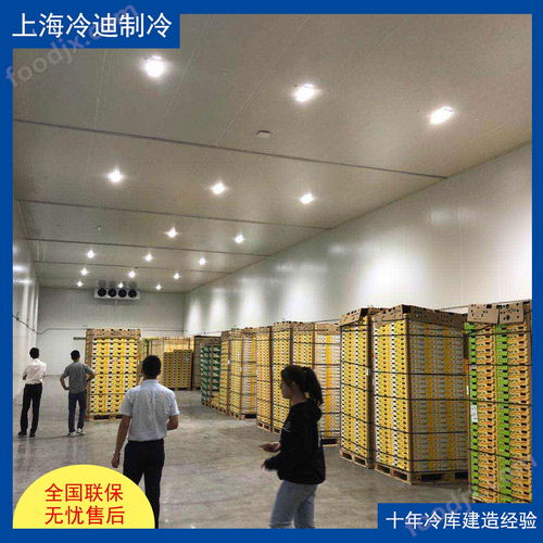 食品廠大型冷庫的安裝造價、設(shè)計與軟件開發(fā)全解析